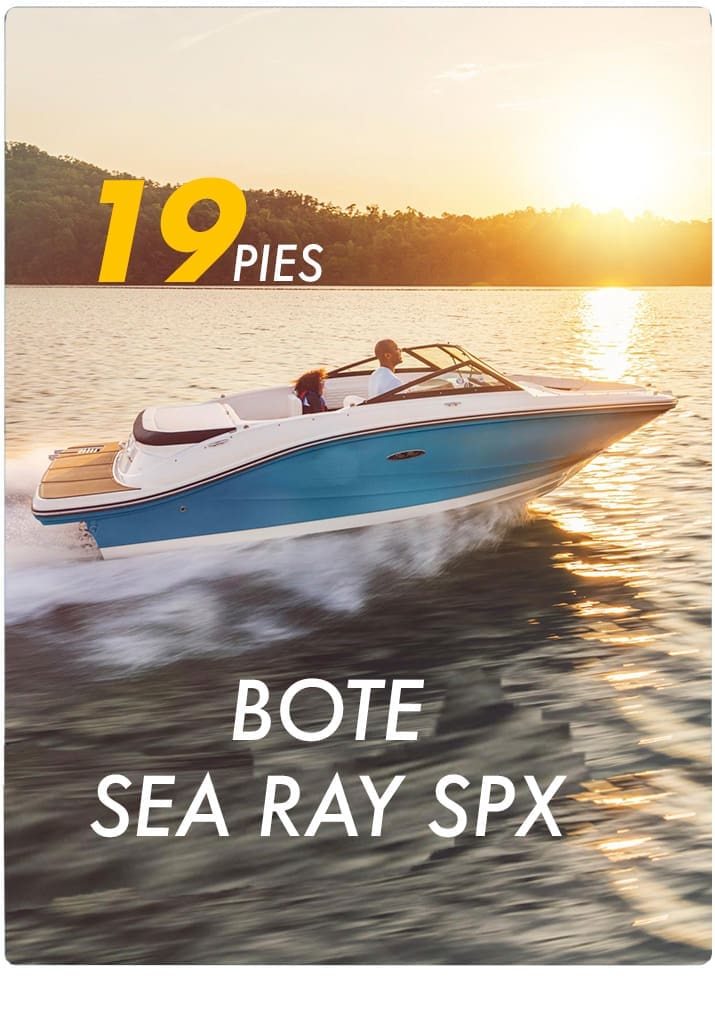 searay spx